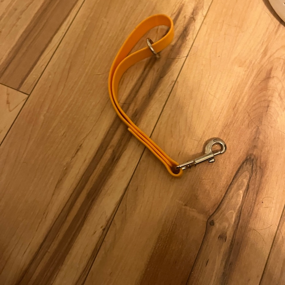 Dog training tab